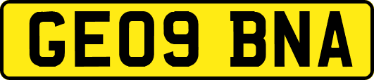 GE09BNA