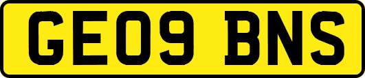 GE09BNS