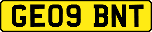 GE09BNT