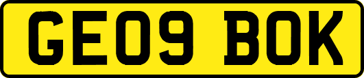 GE09BOK