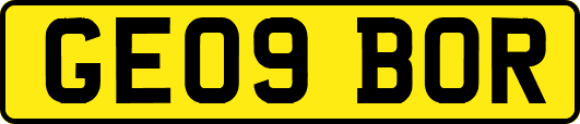 GE09BOR