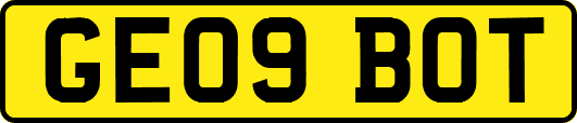 GE09BOT