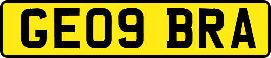 GE09BRA