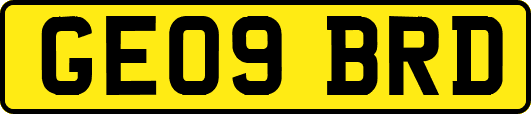GE09BRD