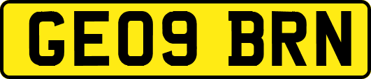 GE09BRN