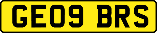 GE09BRS