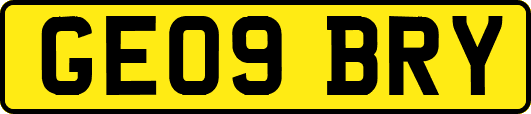 GE09BRY