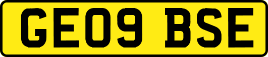 GE09BSE
