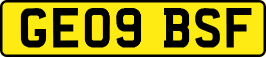 GE09BSF