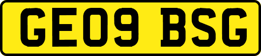 GE09BSG