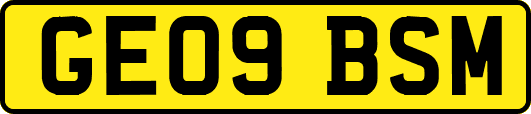 GE09BSM