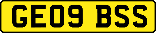 GE09BSS