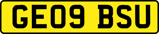 GE09BSU