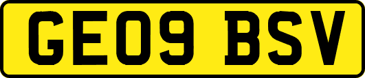 GE09BSV