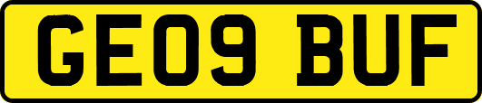GE09BUF