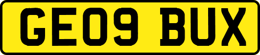 GE09BUX