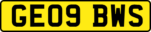 GE09BWS