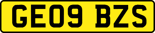 GE09BZS
