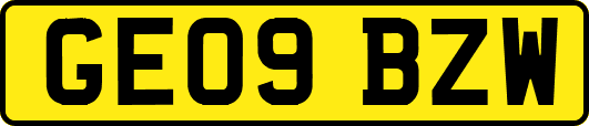 GE09BZW