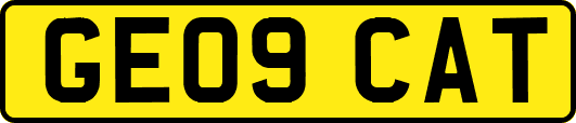 GE09CAT