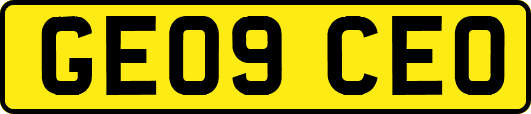 GE09CEO