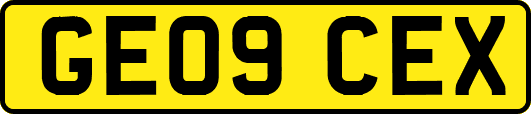 GE09CEX