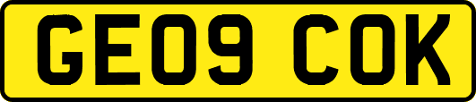 GE09COK