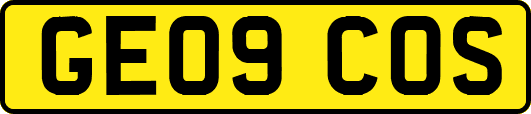 GE09COS