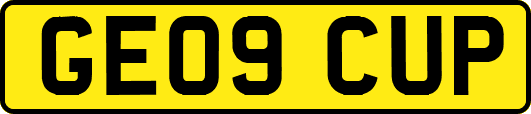 GE09CUP
