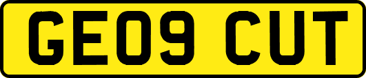 GE09CUT
