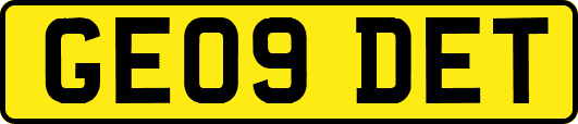 GE09DET