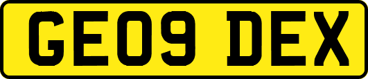 GE09DEX
