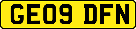 GE09DFN