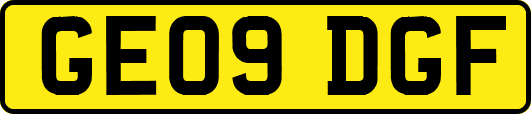 GE09DGF