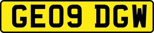 GE09DGW