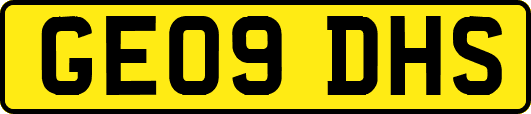 GE09DHS