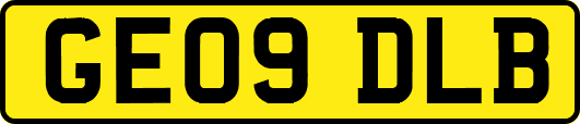 GE09DLB