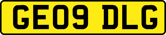 GE09DLG