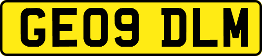 GE09DLM
