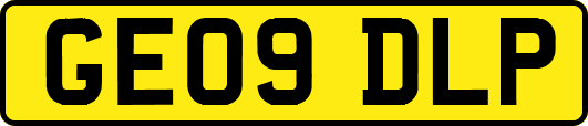 GE09DLP
