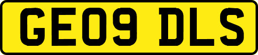 GE09DLS