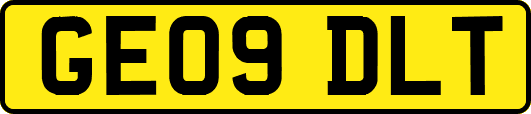 GE09DLT