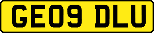 GE09DLU