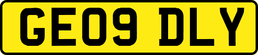 GE09DLY