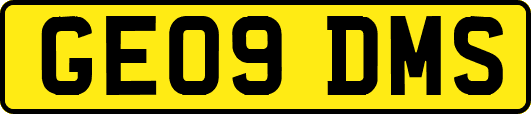 GE09DMS