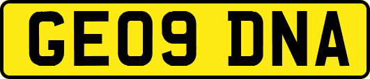 GE09DNA