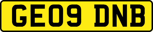 GE09DNB