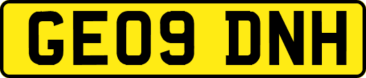 GE09DNH