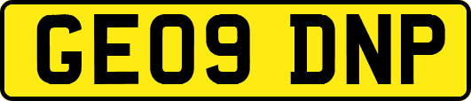 GE09DNP