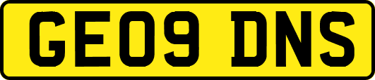 GE09DNS